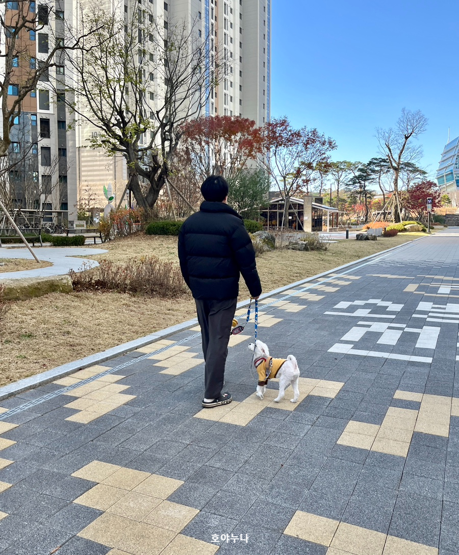 키다리분식꼬마김밥 이미지