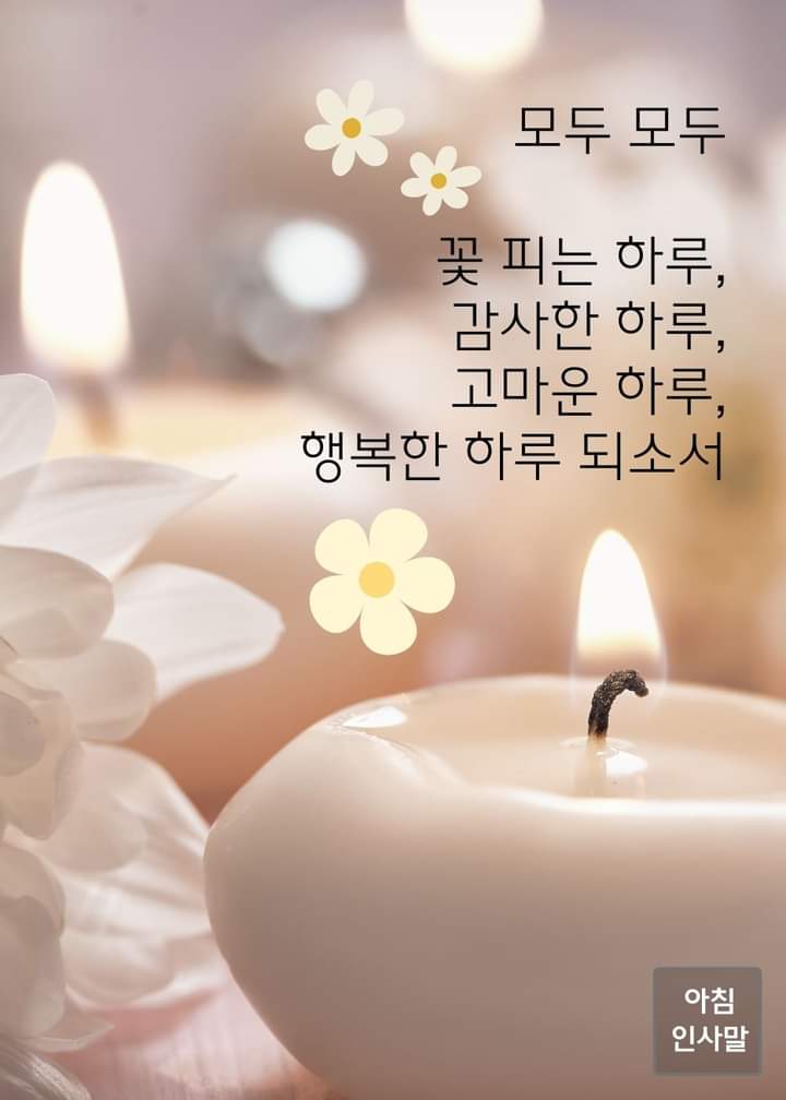 꽃피는하루 이미지