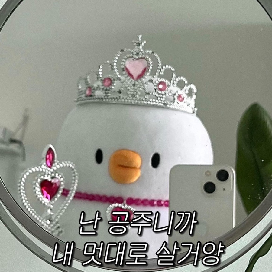 미램왕꼬치 이미지