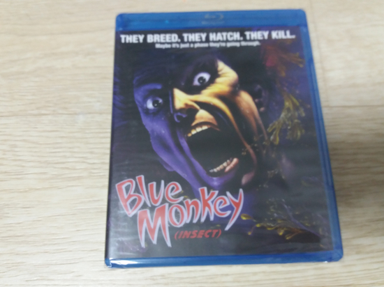 블루몽키(BLUE MONKEY) 이미지