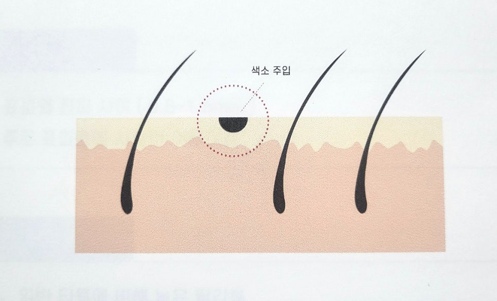 두두뷰티&두피 이미지