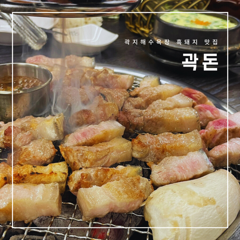 곽돈 이미지