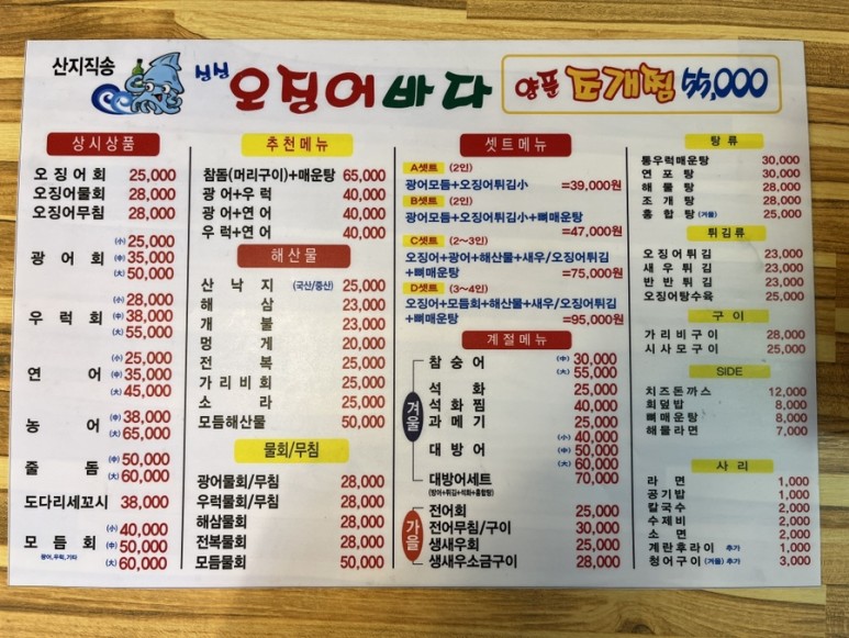 오징어바다 이미지