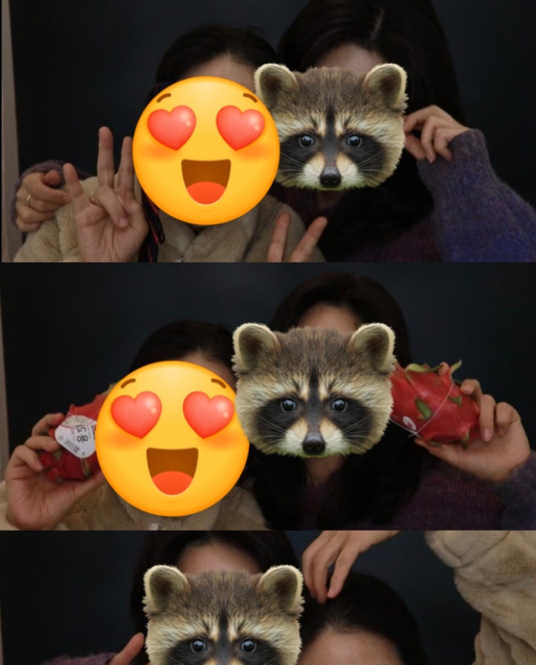 연세청과 이미지