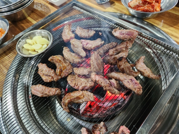 은행나무갈매기 이미지