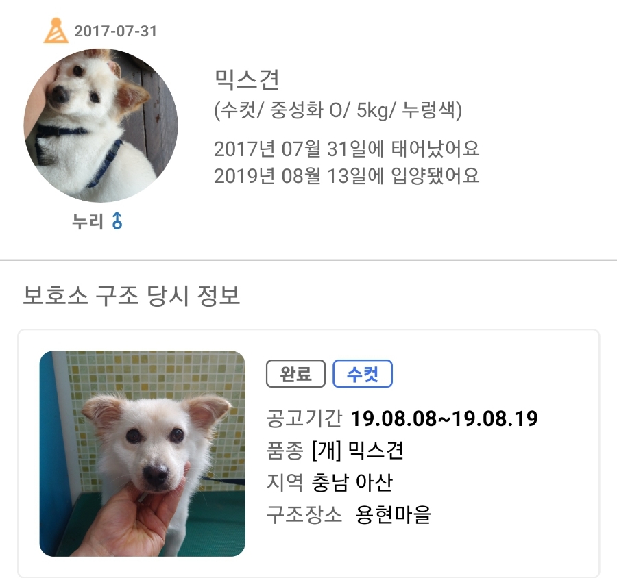 포인사이트 이미지