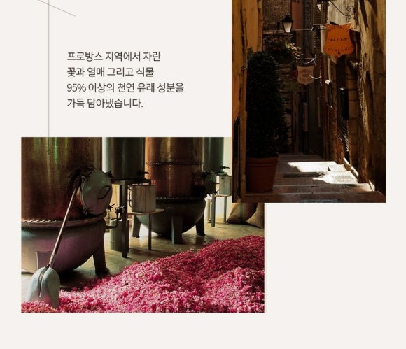 이슬향기 이미지