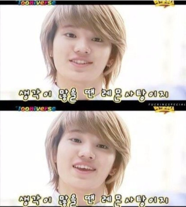 레몬투어 이미지