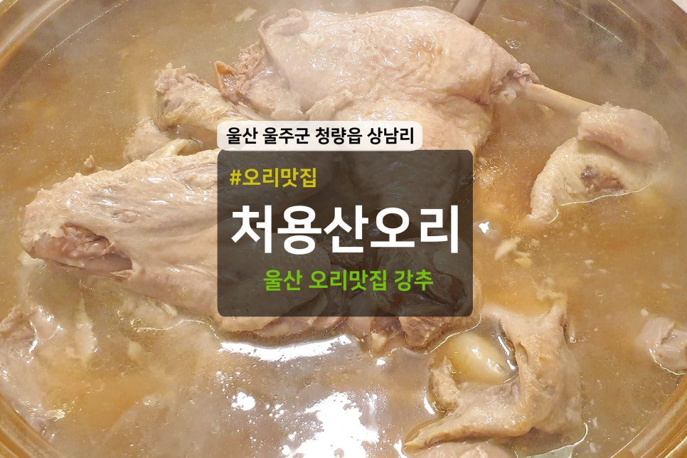 처용산오리 이미지