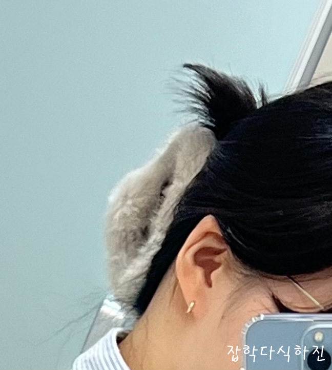 복실이식당 이미지