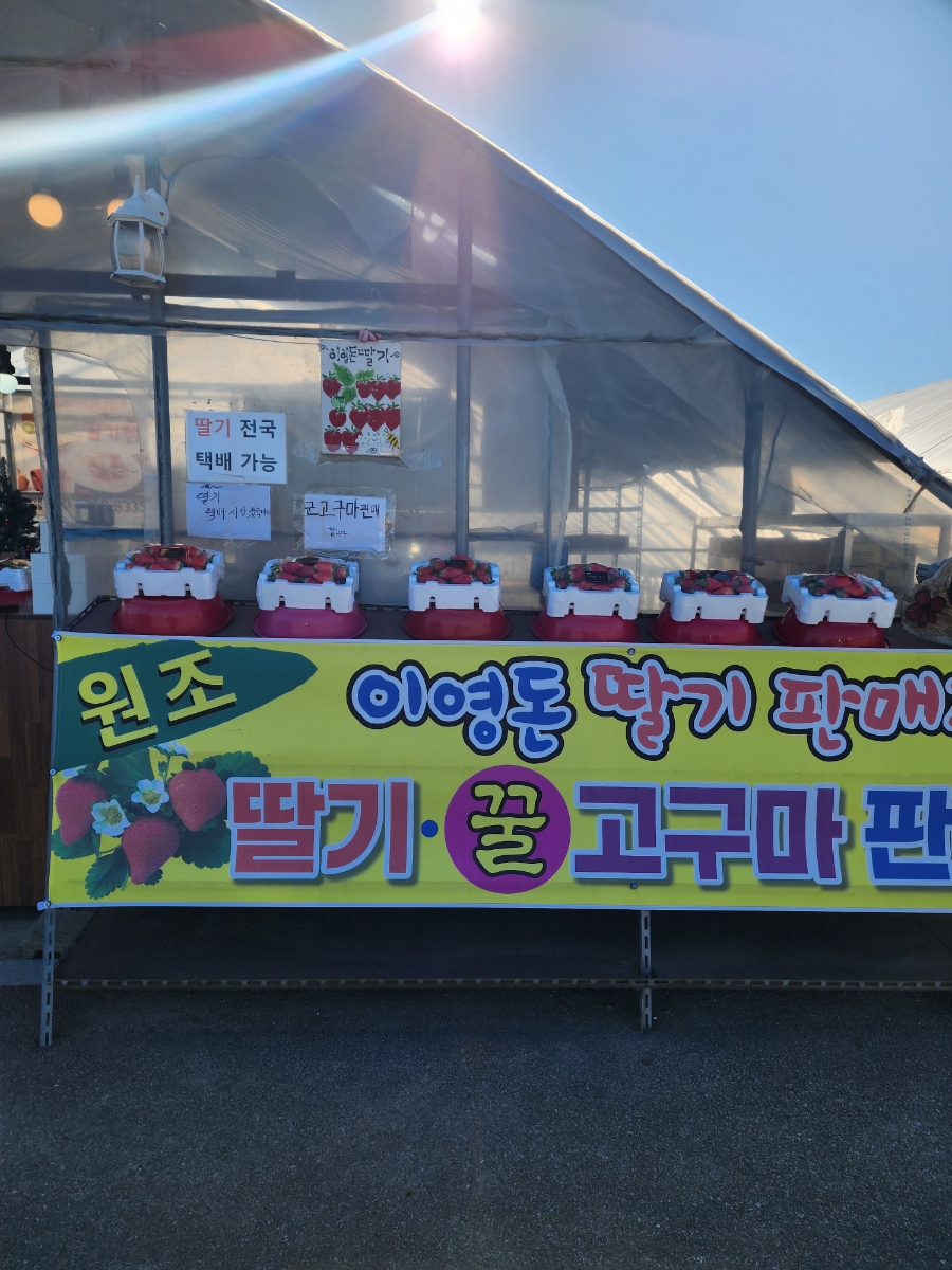 이영돈딸기 이미지