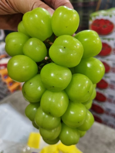 바로유통 이미지