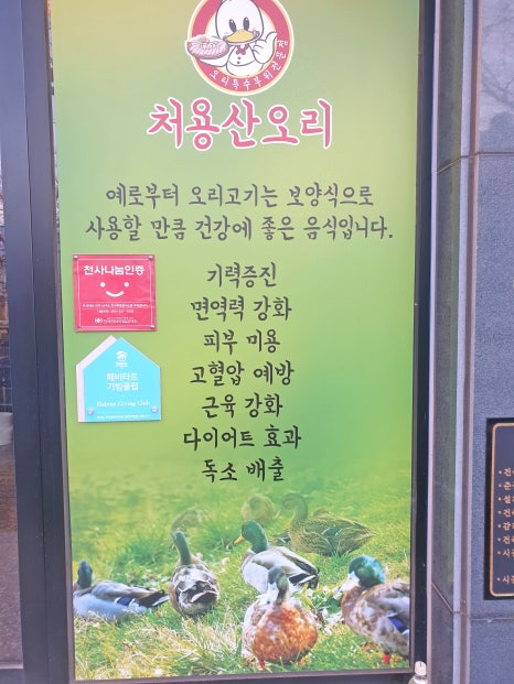 처용산오리 이미지