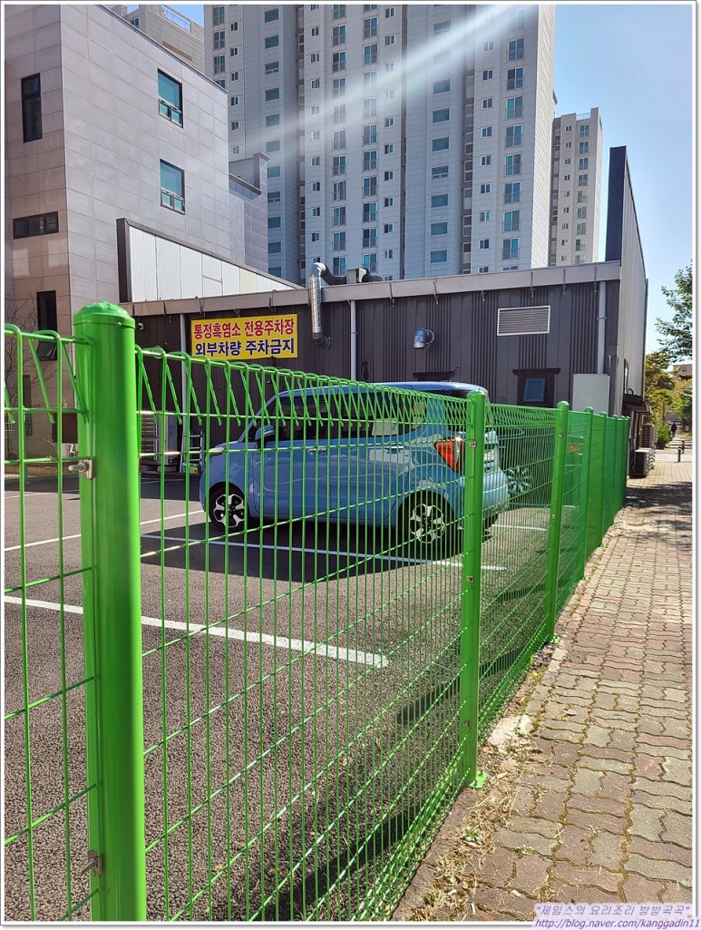 통정흑염소 이미지