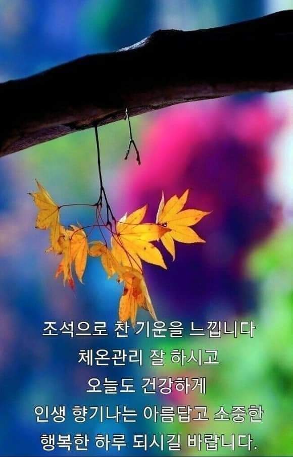 역지사지 이미지