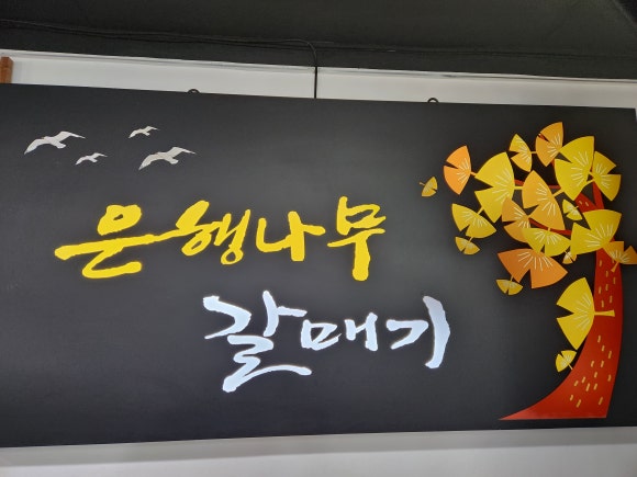 은행나무갈매기 이미지