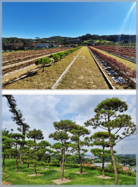 경소사 이미지