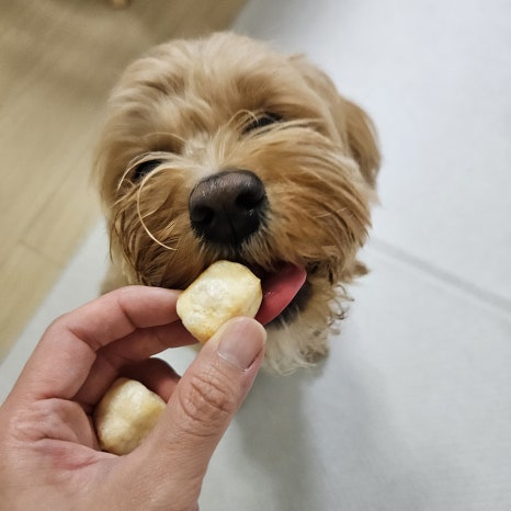단이마켓 이미지