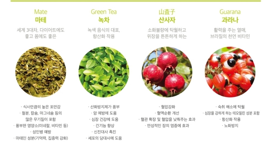 온성에너지 이미지