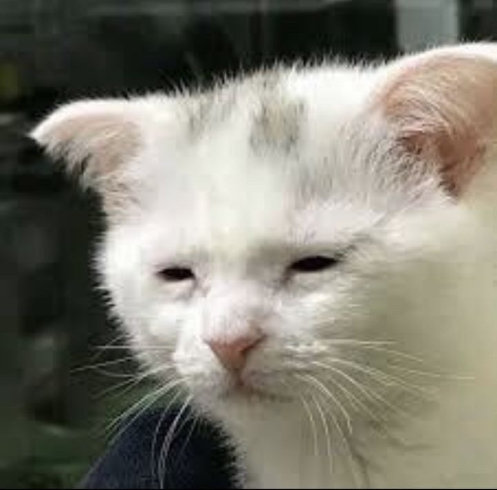 만드링크 이미지