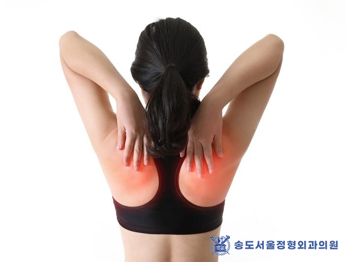 송도서울정형외과의원 이미지