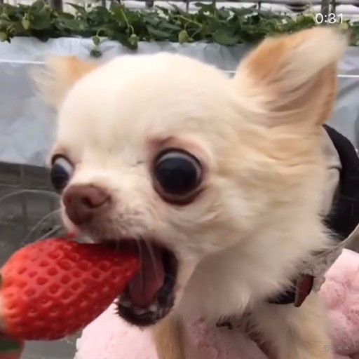 잘자 이미지