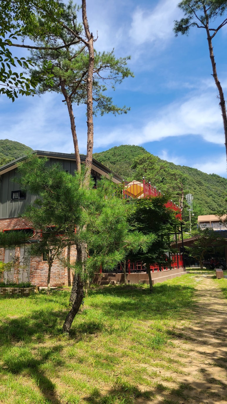 숲750 이미지