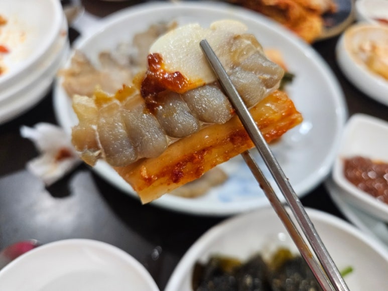 용두홍어 이미지