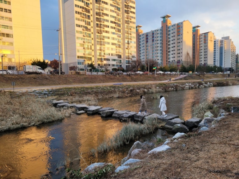 꿈이음교육협동조합 이미지
