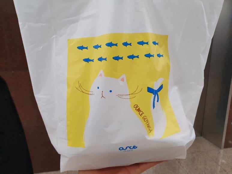 샐러드캐츠 이미지