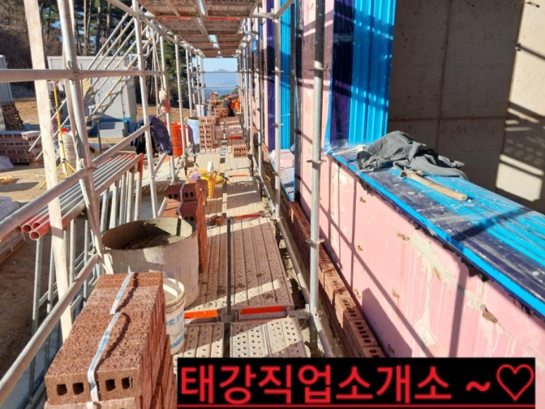 칼라직업소개소 이미지