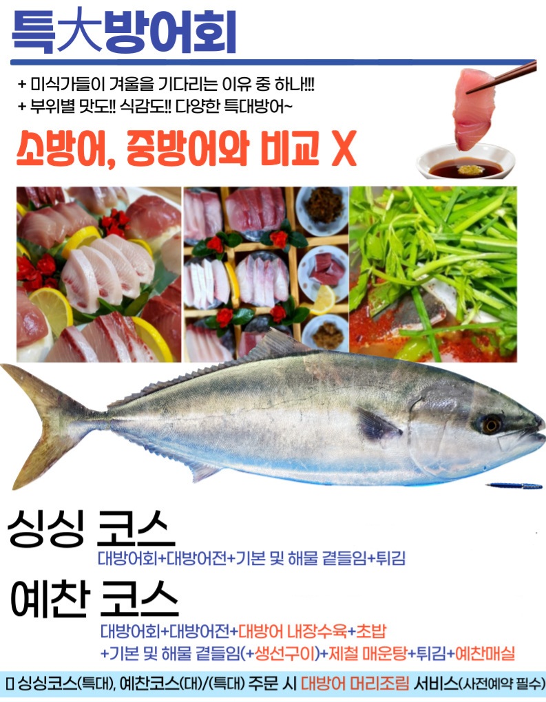 싱싱회예찬 이미지