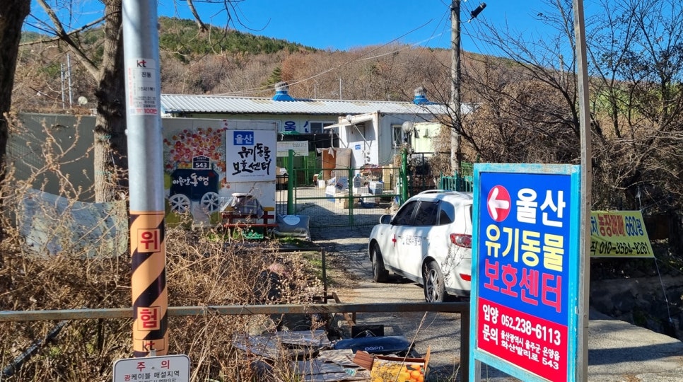도린곁 이미지