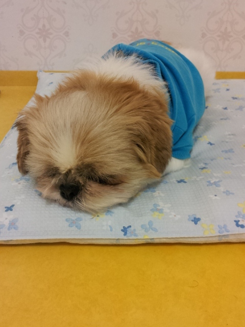 청도우리농장 이미지