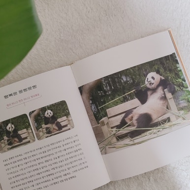 셀러바오 이미지