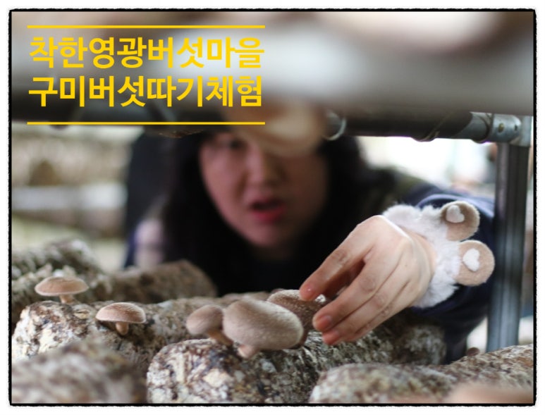 농업회사법인 자연과농부(주) 이미지