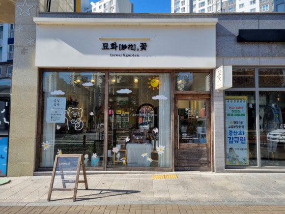 묘화꽃 이미지
