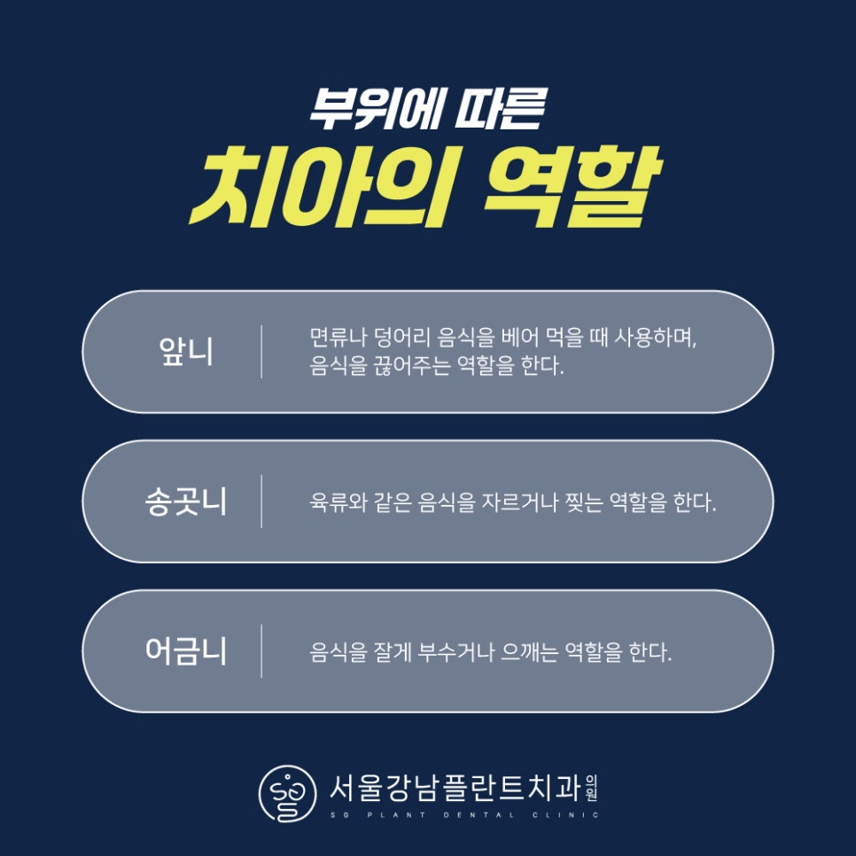 성거치과 이미지