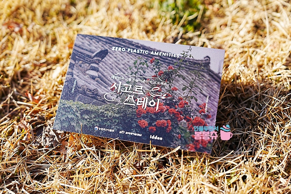 시고르하우스 이미지