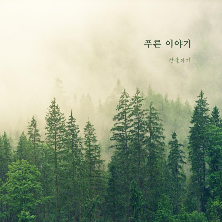 앨범이야기 이미지