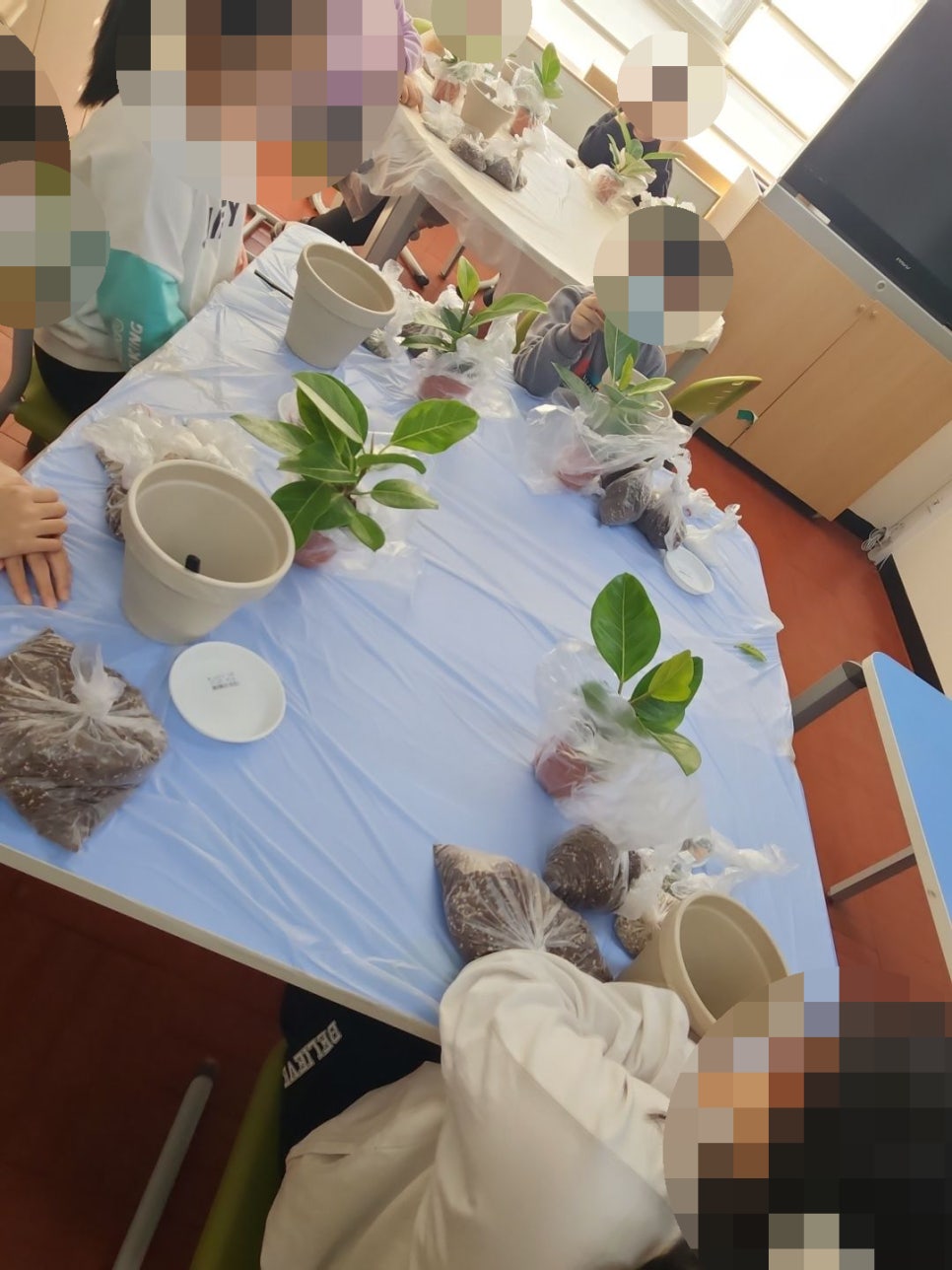 금명초등학교 이미지