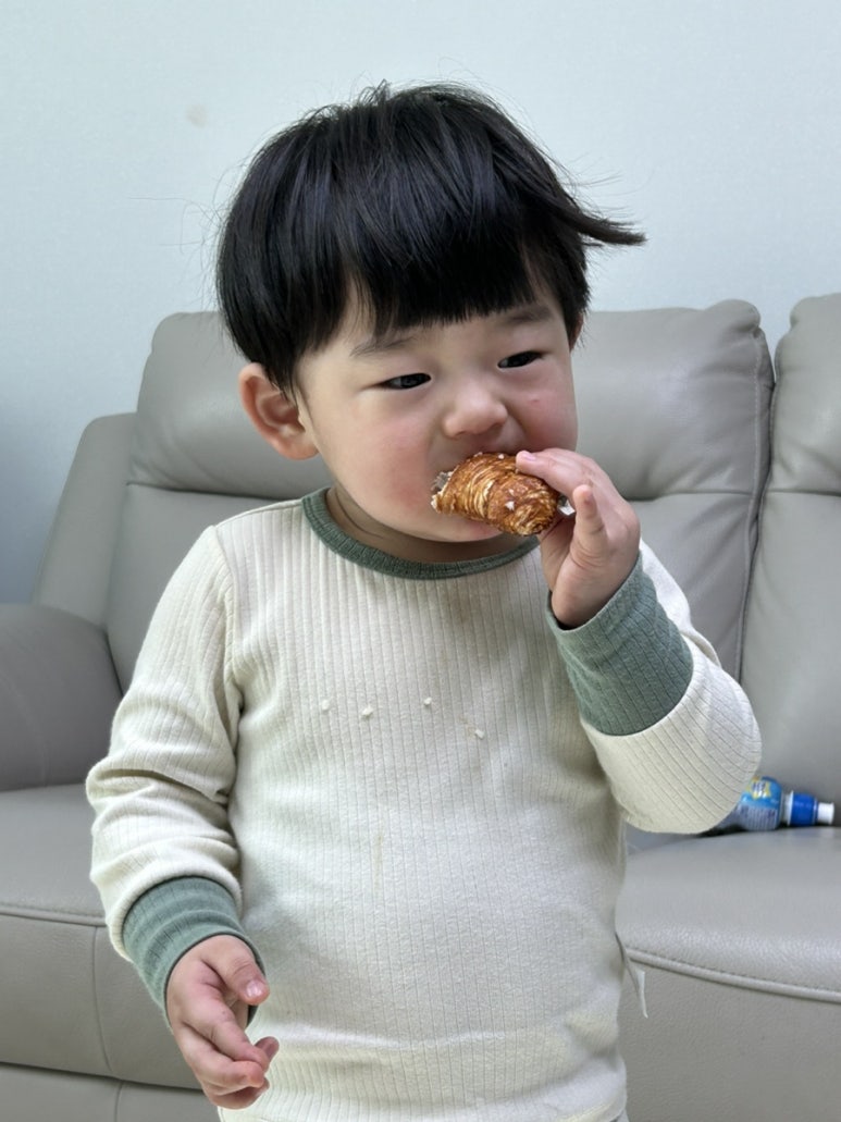 파티세리러츠 이미지