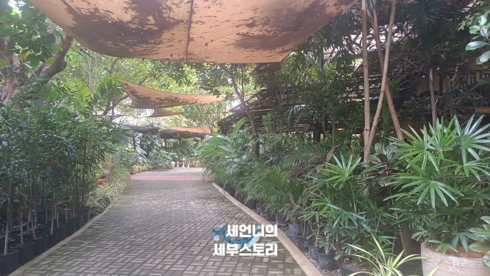 제이예스마트 이미지