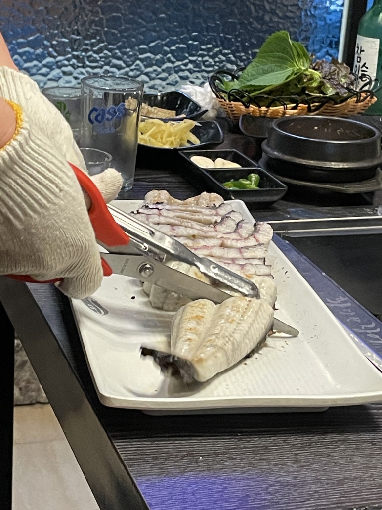 황당한장어 이미지