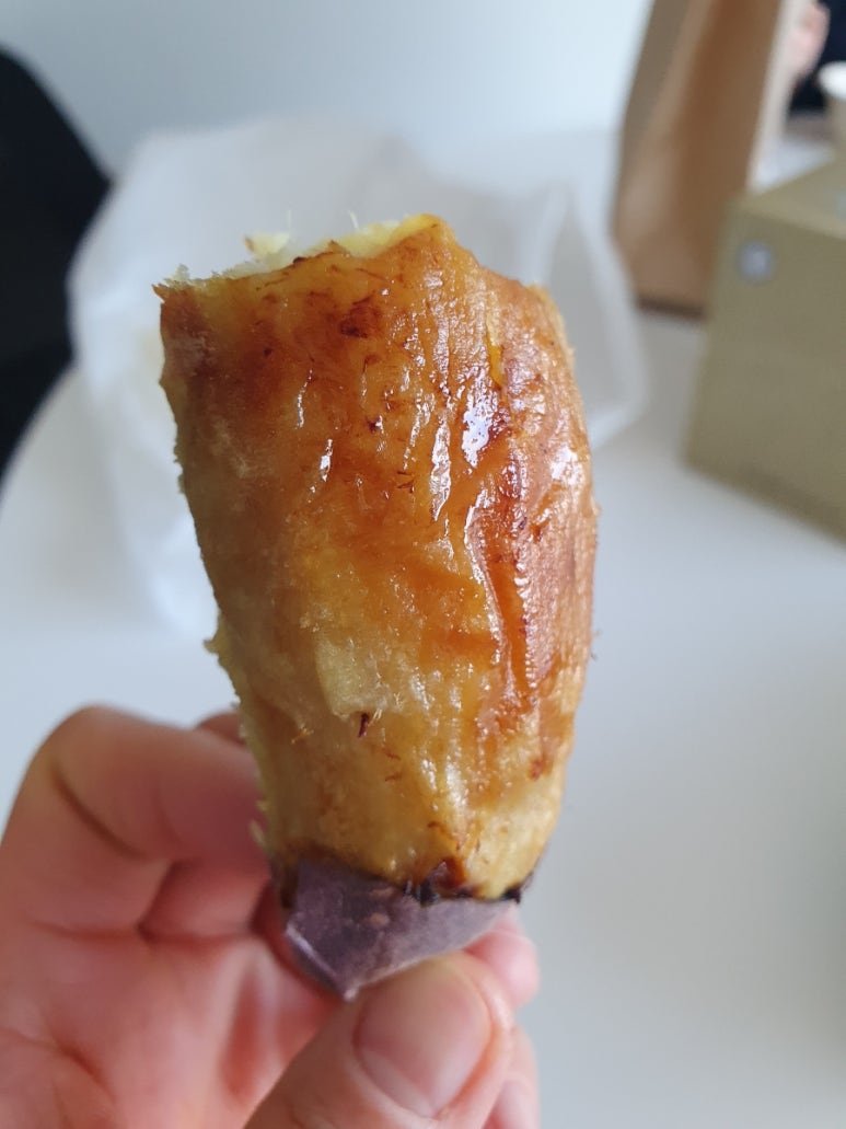 샐러드캐츠 이미지