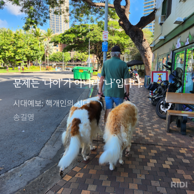 더블유와이컨설팅 이미지