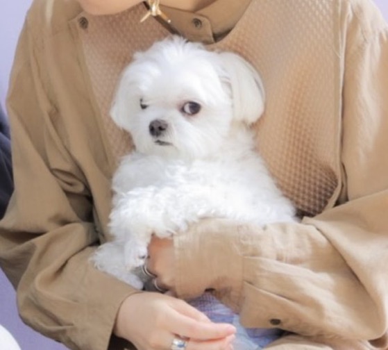 바람난장어 이미지