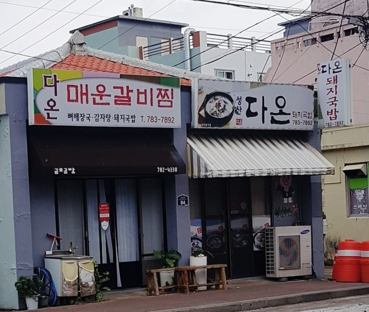 다온돼지 이미지