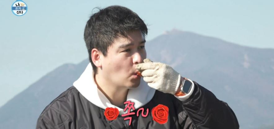 회포풀자 이미지
