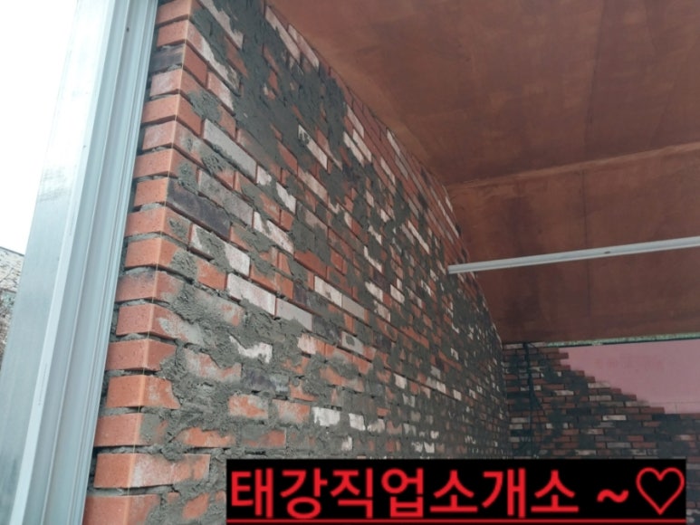 칼라직업소개소 이미지